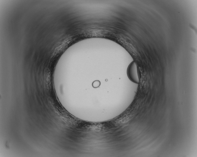 X0000097980306200804141123