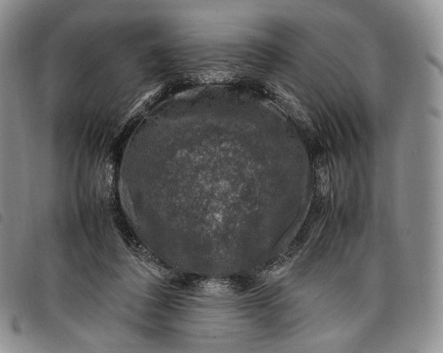 X0000097980308200804141123