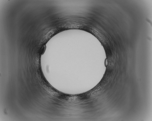 X0000097980309200804141123