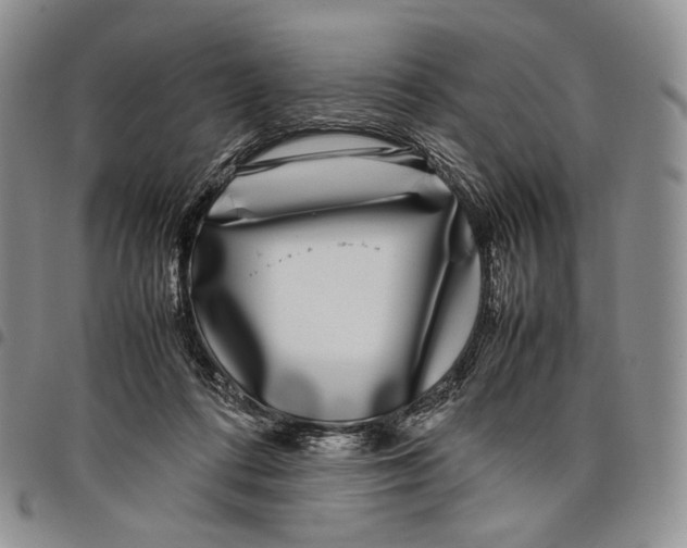 X0000097980312200804141123