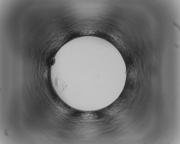 X0000097980315200804141123