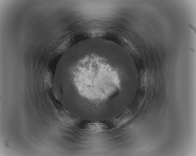 X0000097980316200804141123