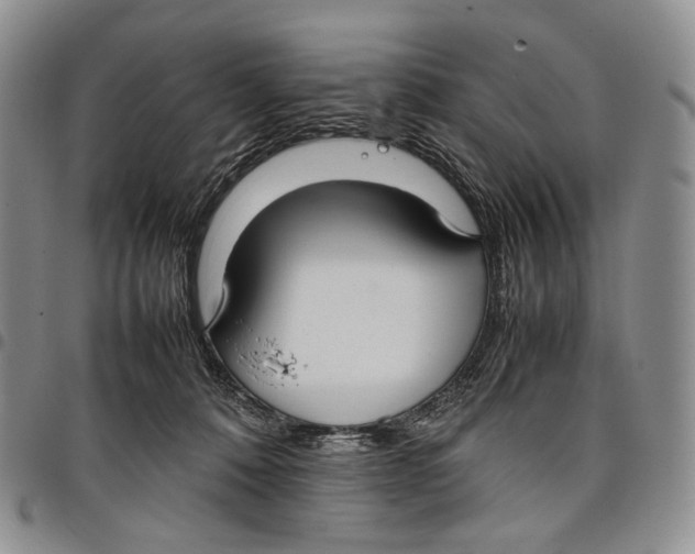 X0000097980320200804141123