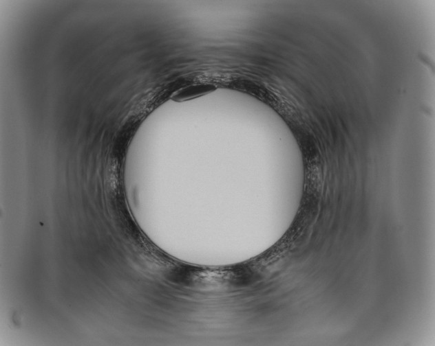 X0000097980323200804141123