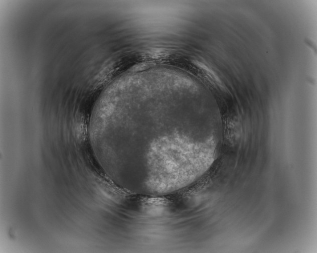 X0000097980324200804141123