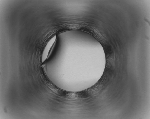 X0000097980325200804141123