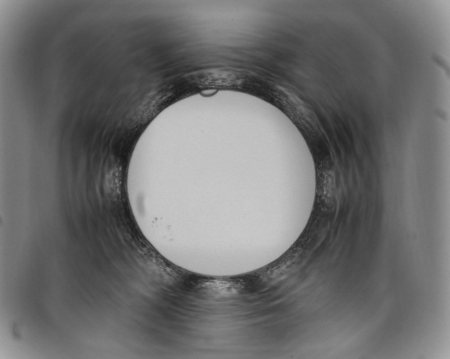 X0000097980326200804141123