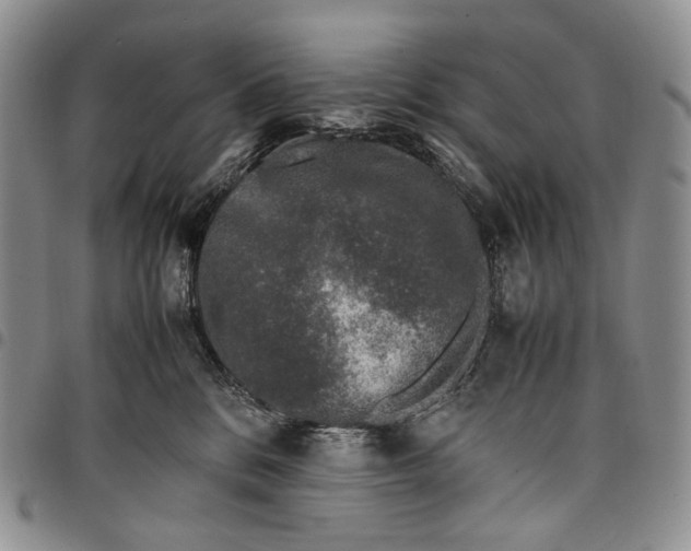 X0000097980328200804141123