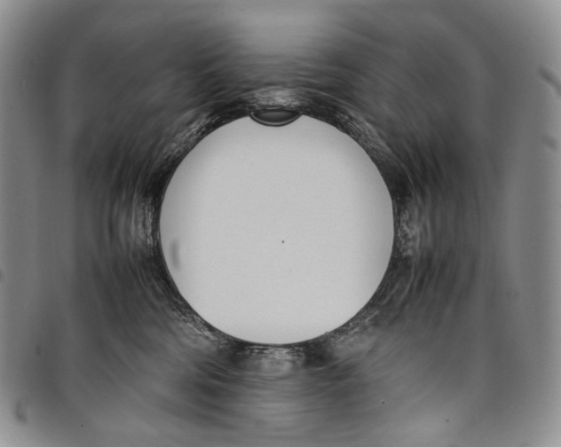 X0000097980330200804141123