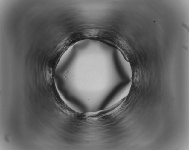 X0000097980332200804141123