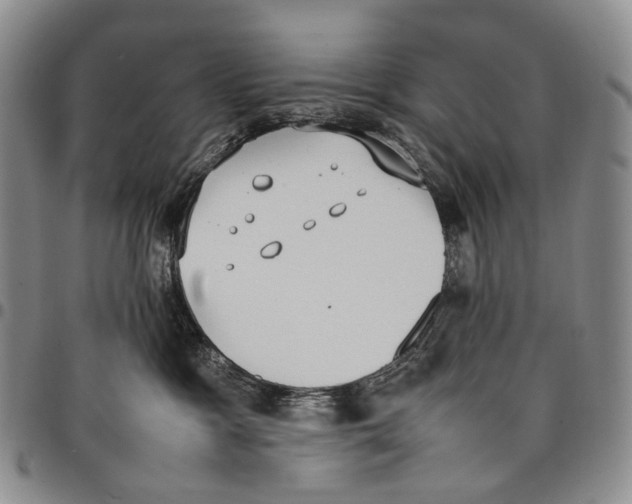 X0000097980333200804141123