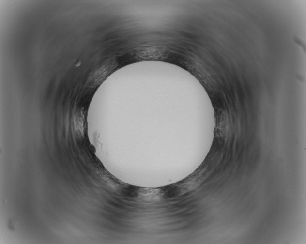 X0000097980334200804141123