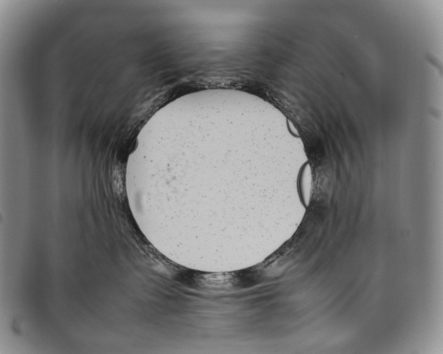 X0000097980335200804141123