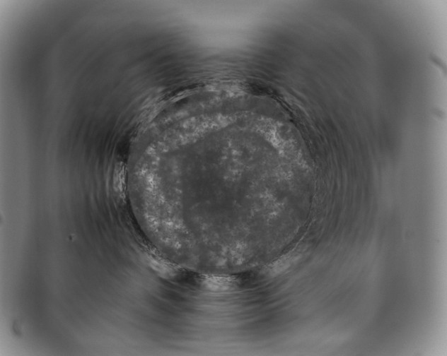 X0000097980336200804141123