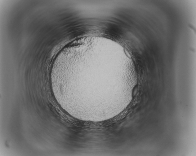 X0000097980337200804141122