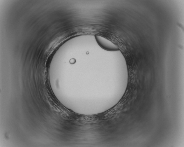 X0000097980338200804141122