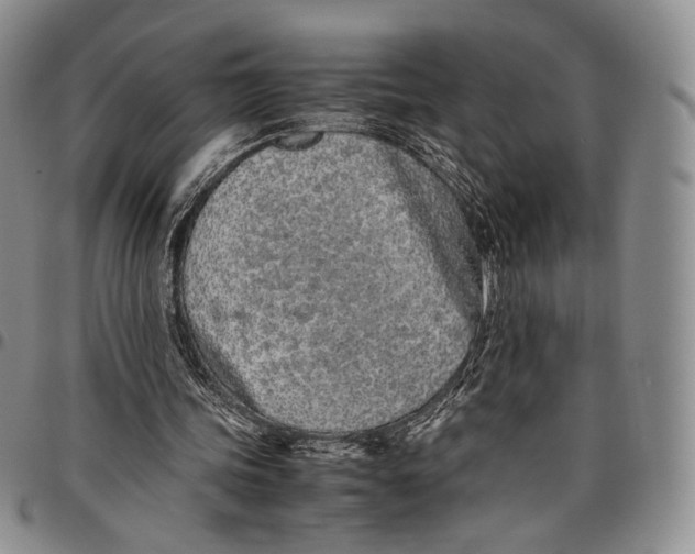 X0000097980339200804141122