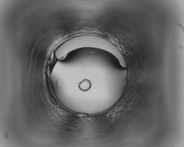 X0000097980340200804141122