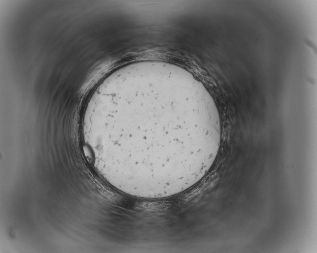 X0000097980341200804141122