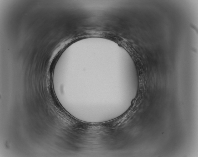 X0000097980342200804141122