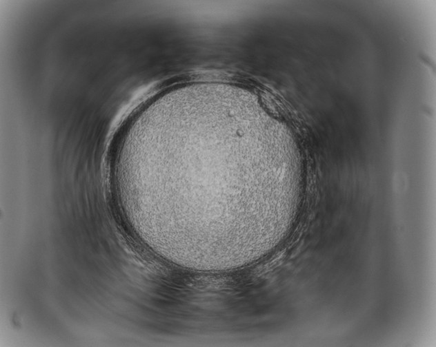 X0000097980343200804141122