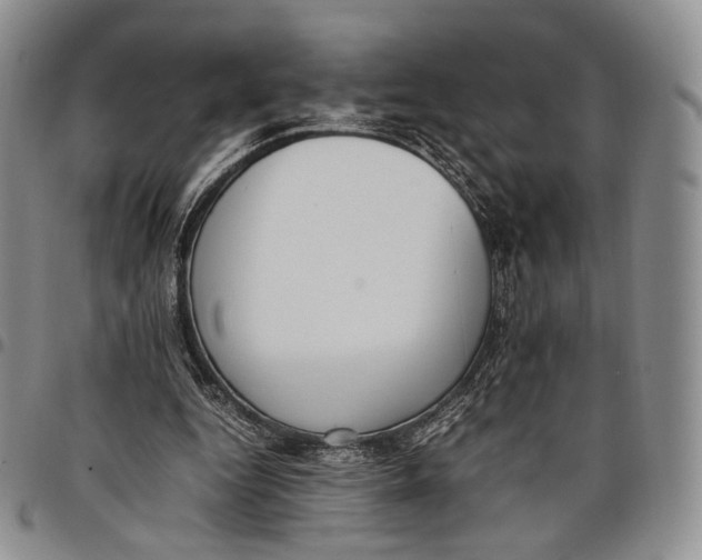 X0000097980344200804141122