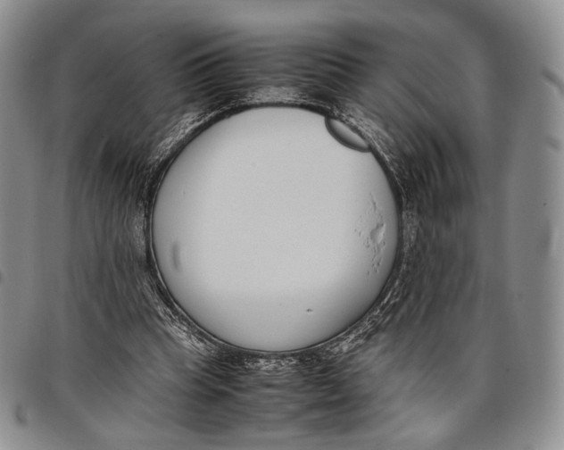 X0000097980345200804141122