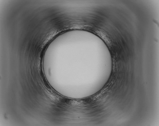 X0000097980346200804141122