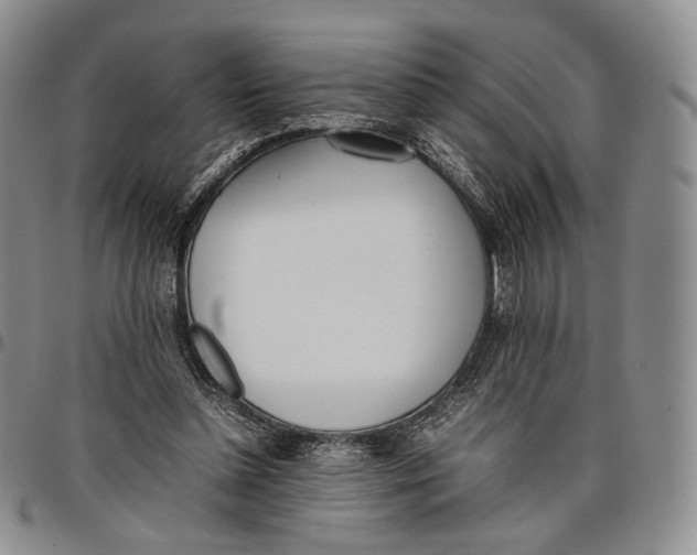 X0000097980348200804141122