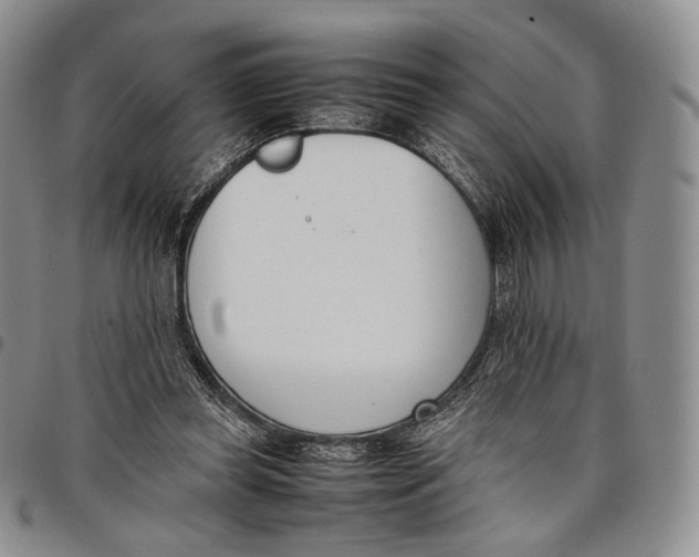 X0000097980349200804141122