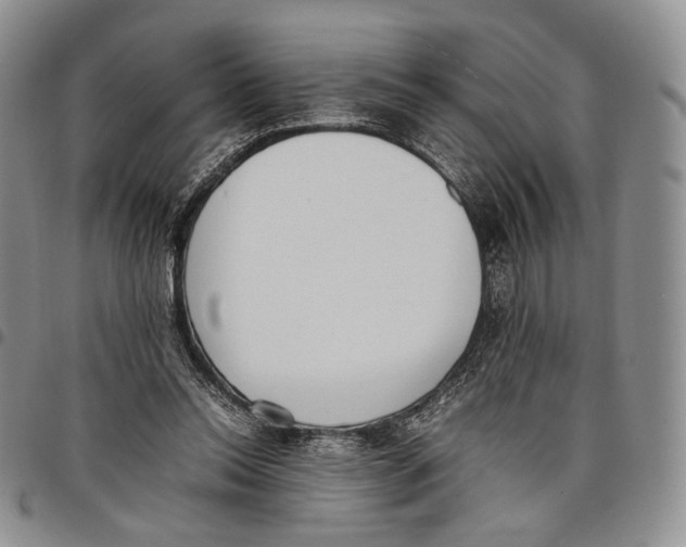 X0000097980350200804141122