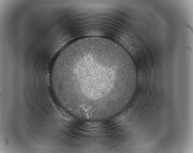 X0000097980351200804141122