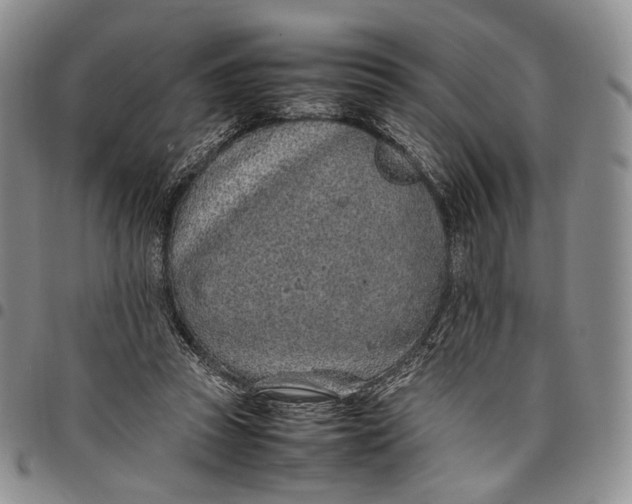 X0000097980353200804141122