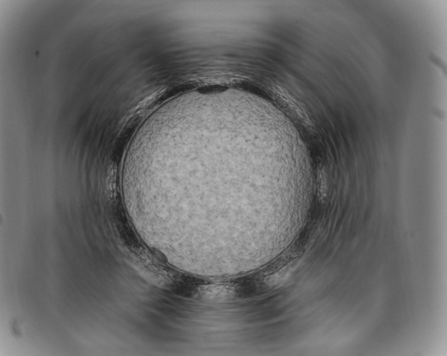 X0000097980356200804141122