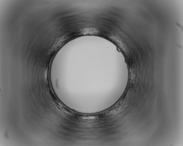 X0000097980357200804141122