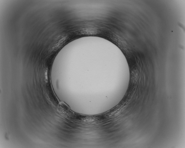 X0000097980358200804141122