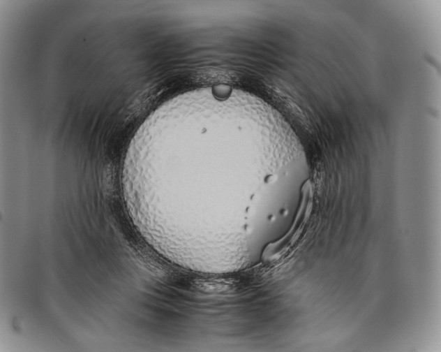 X0000097980359200804141122