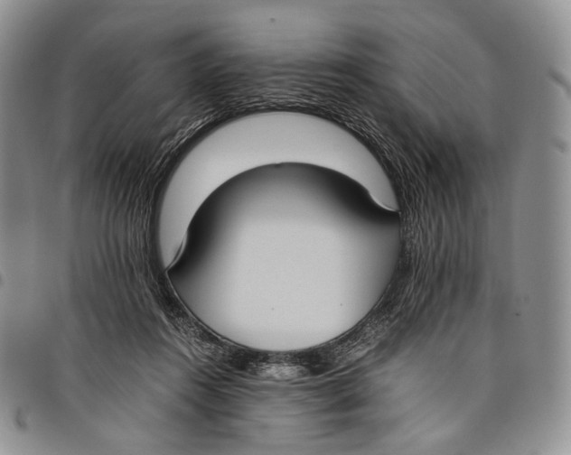 X0000097980360200804141123