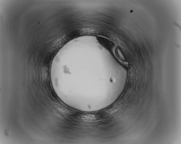 X0000097980361200804141123