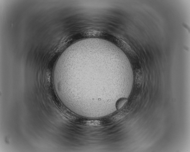 X0000097980363200804141123