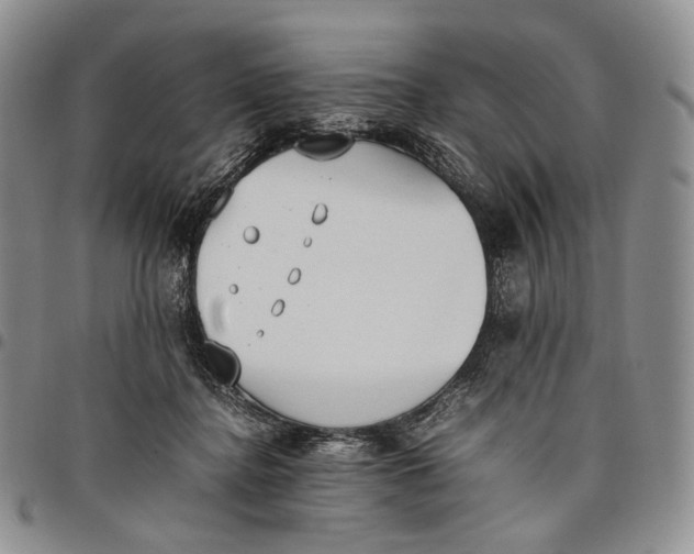 X0000097980364200804141123