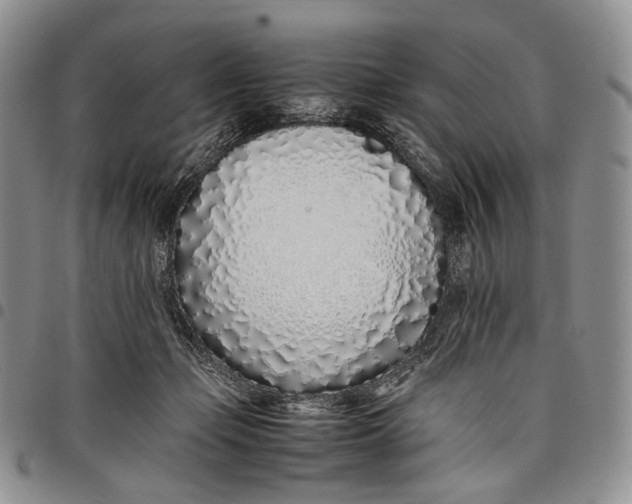 X0000097980365200804141123