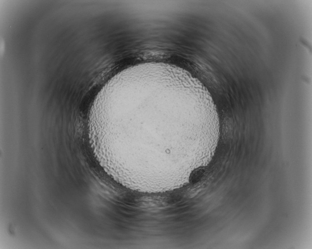 X0000097980367200804141123