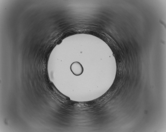 X0000097980372200804141123