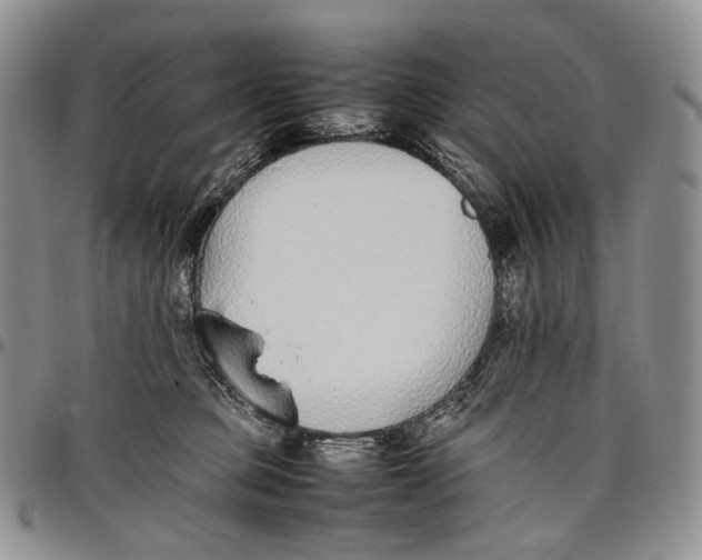 X0000097980373200804141123