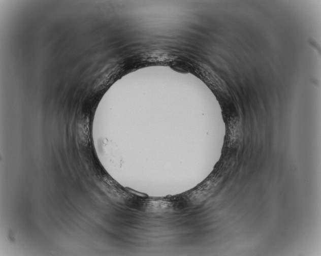 X0000097980376200804141123