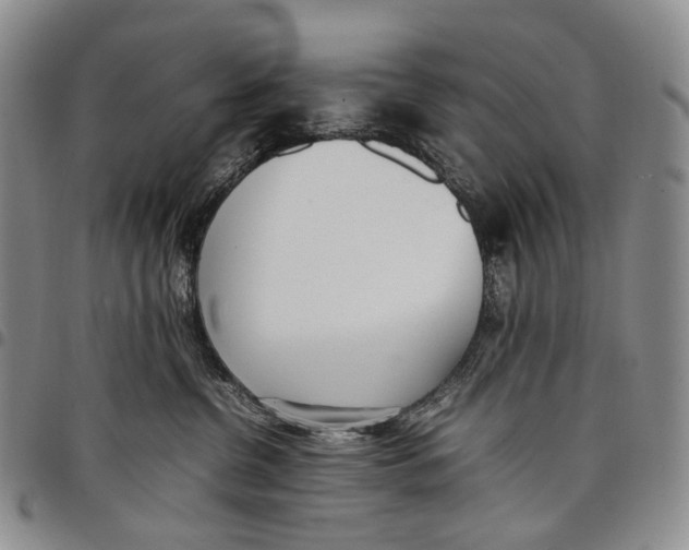 X0000097980380200804141123