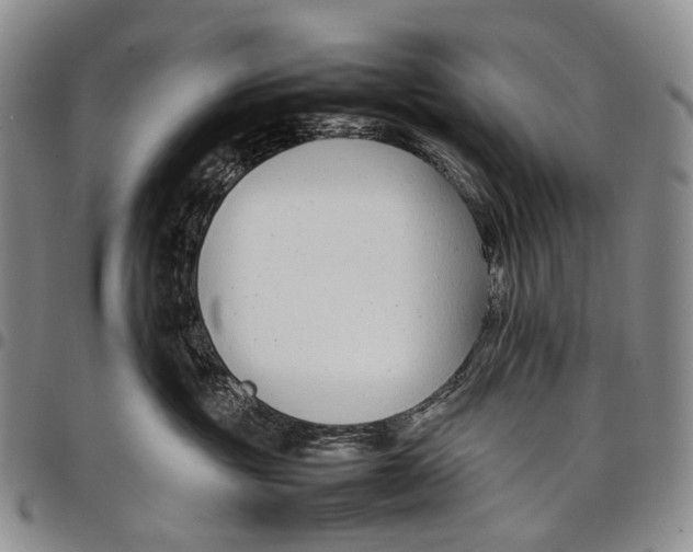 X0000097980381200804141123