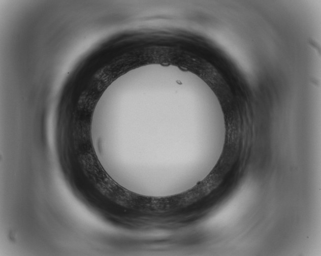 X0000097980383200804141123