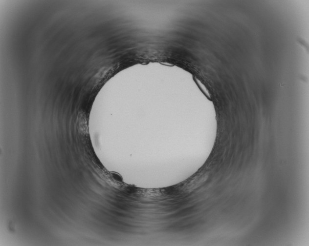 X0000097980384200804141123